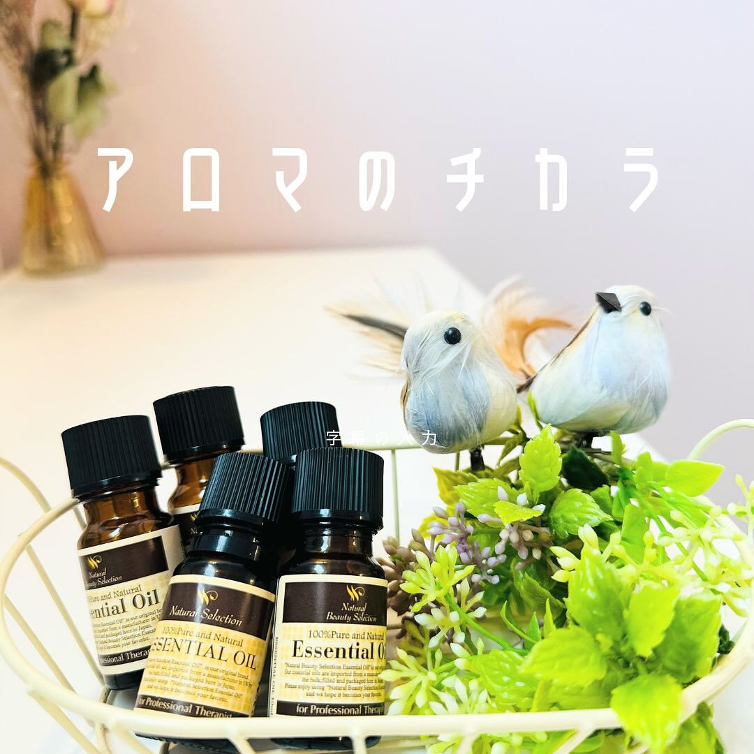 🌿✨至福のアロマ体験で心と身体を癒しましょう✨🌿
