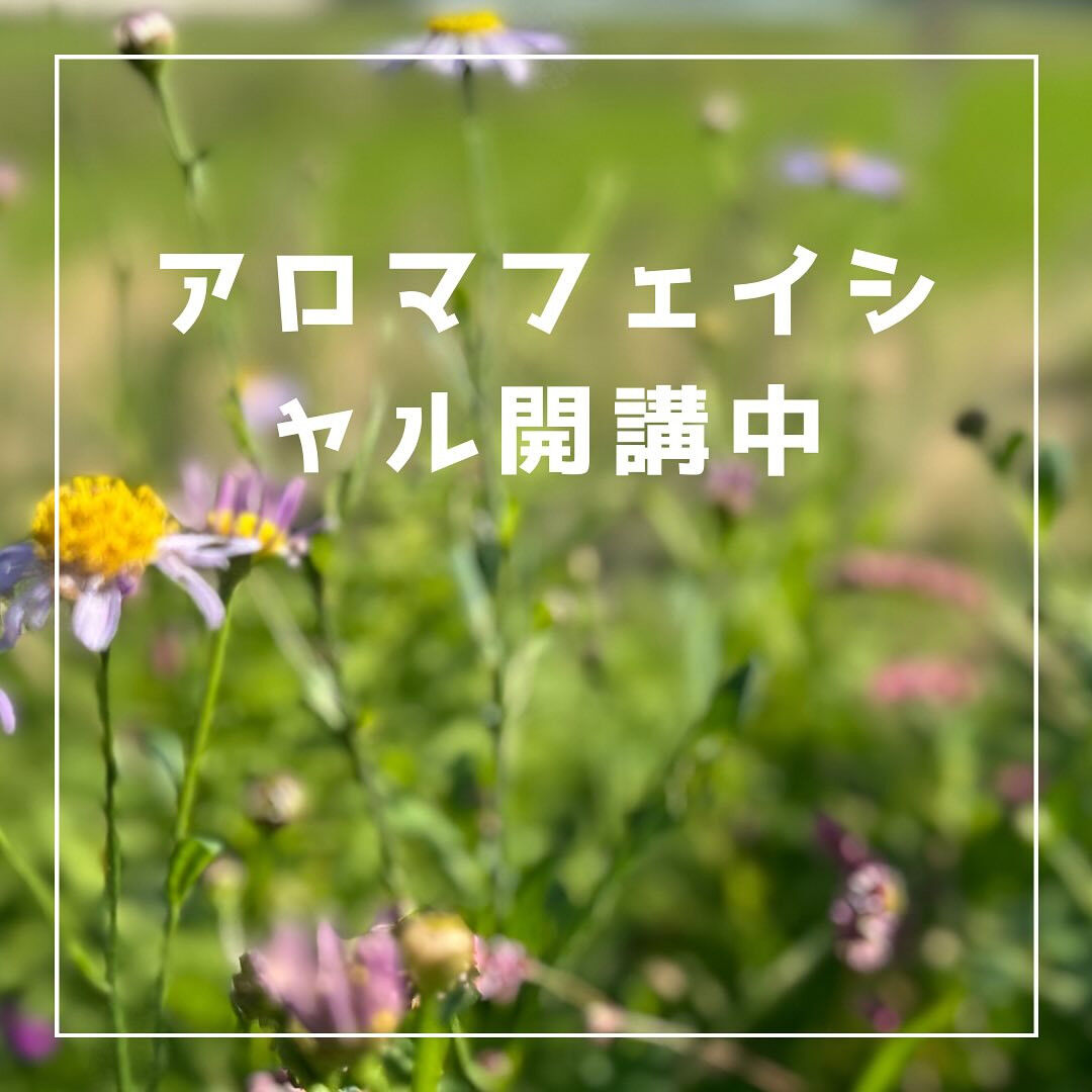 当店では、心地よい香りとリラクゼーション効果のあるアロマフェ