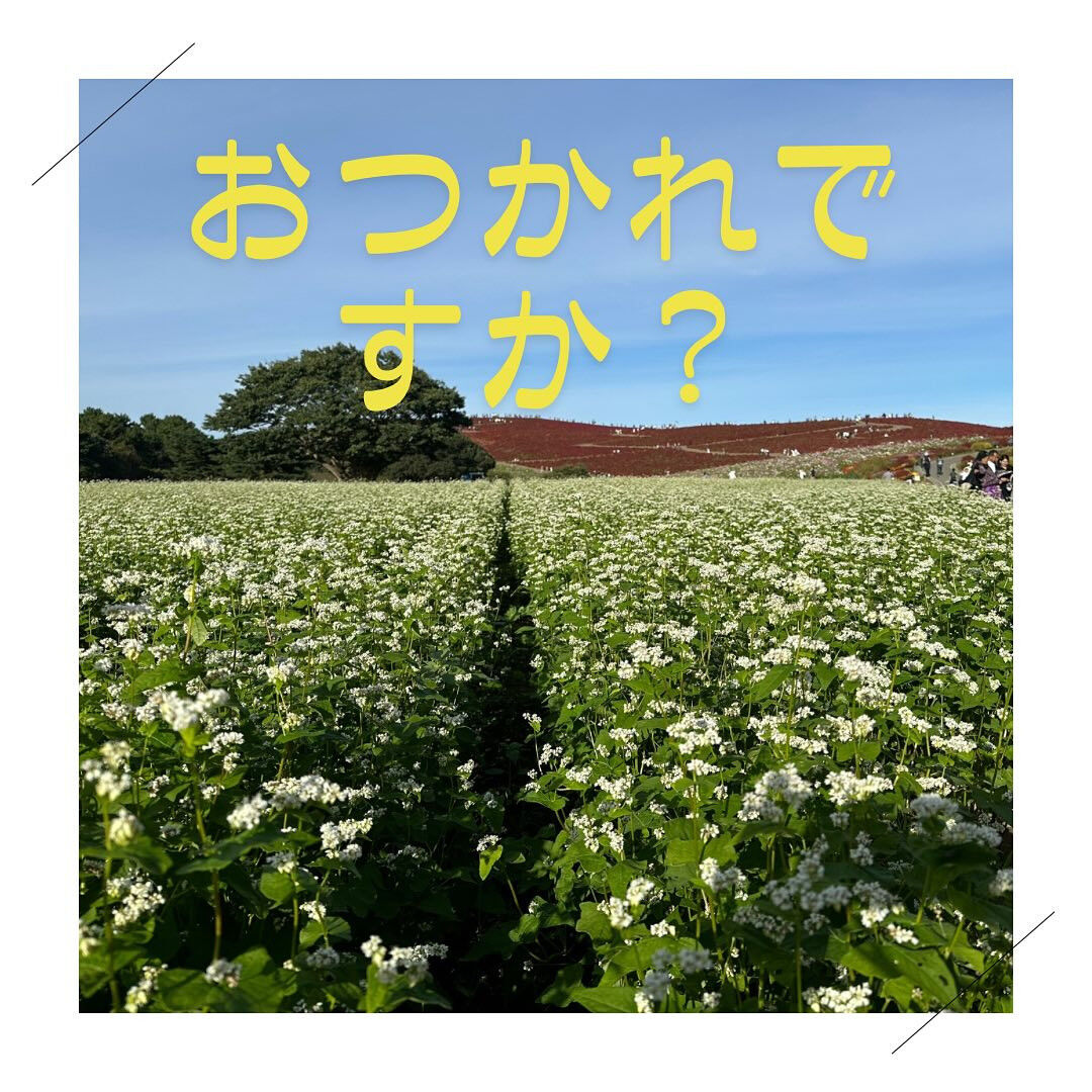 👀✨ 皆さん、目の疲れ感じていませんか？ 