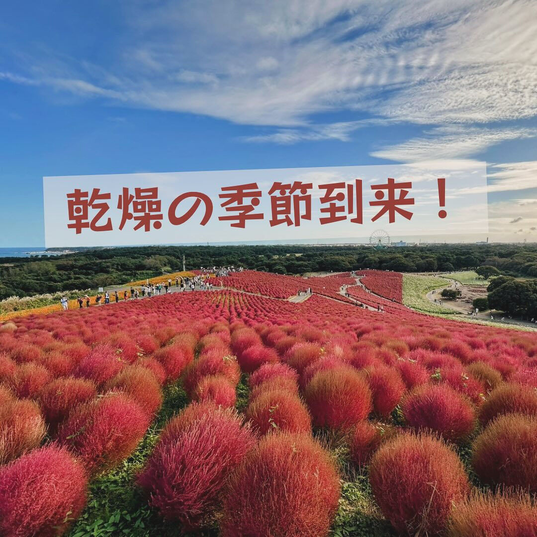 最近は過ごしやすい季節になりましたね🍂✨