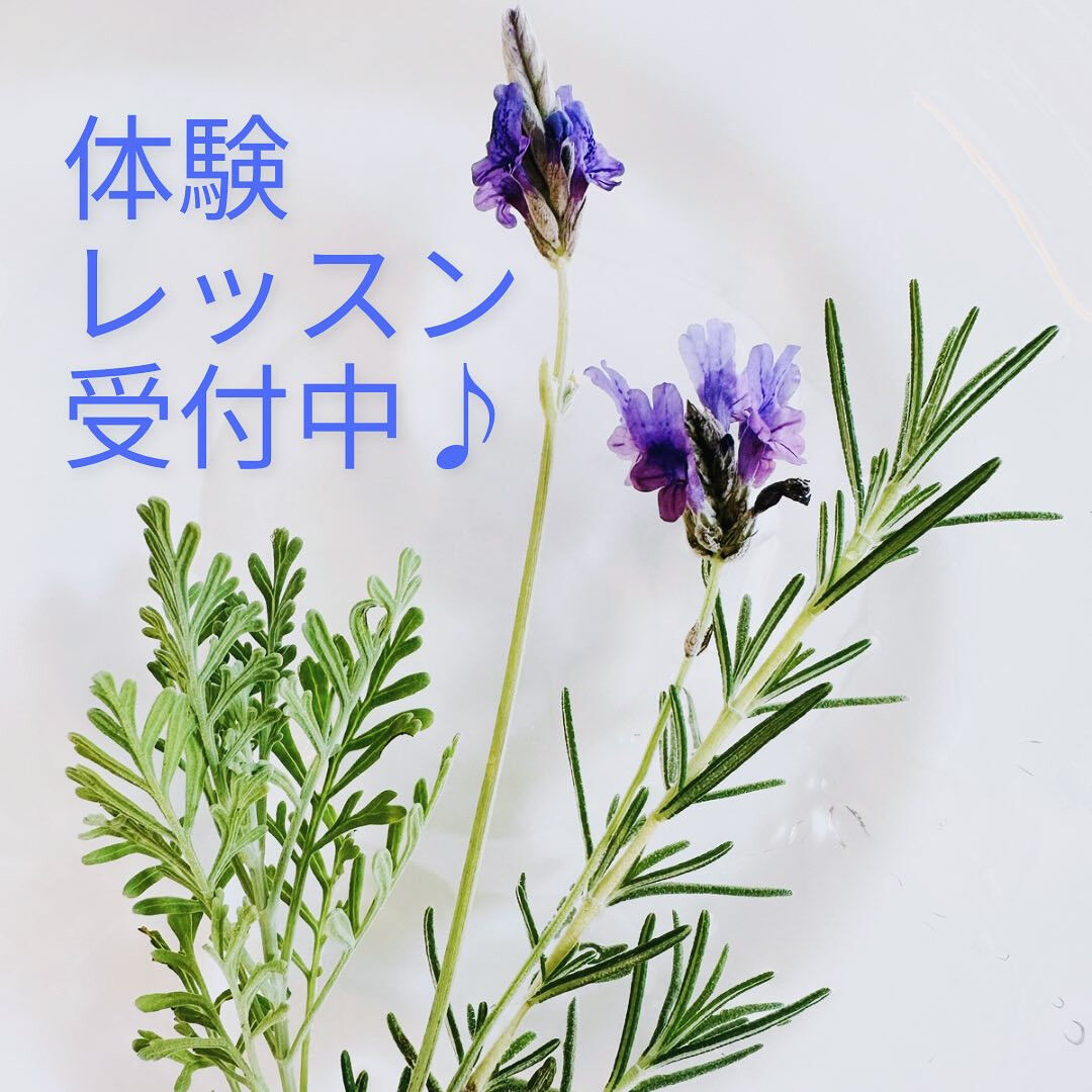 🌿 こんにちは！ただいま、Aroma Fonduのスクールで