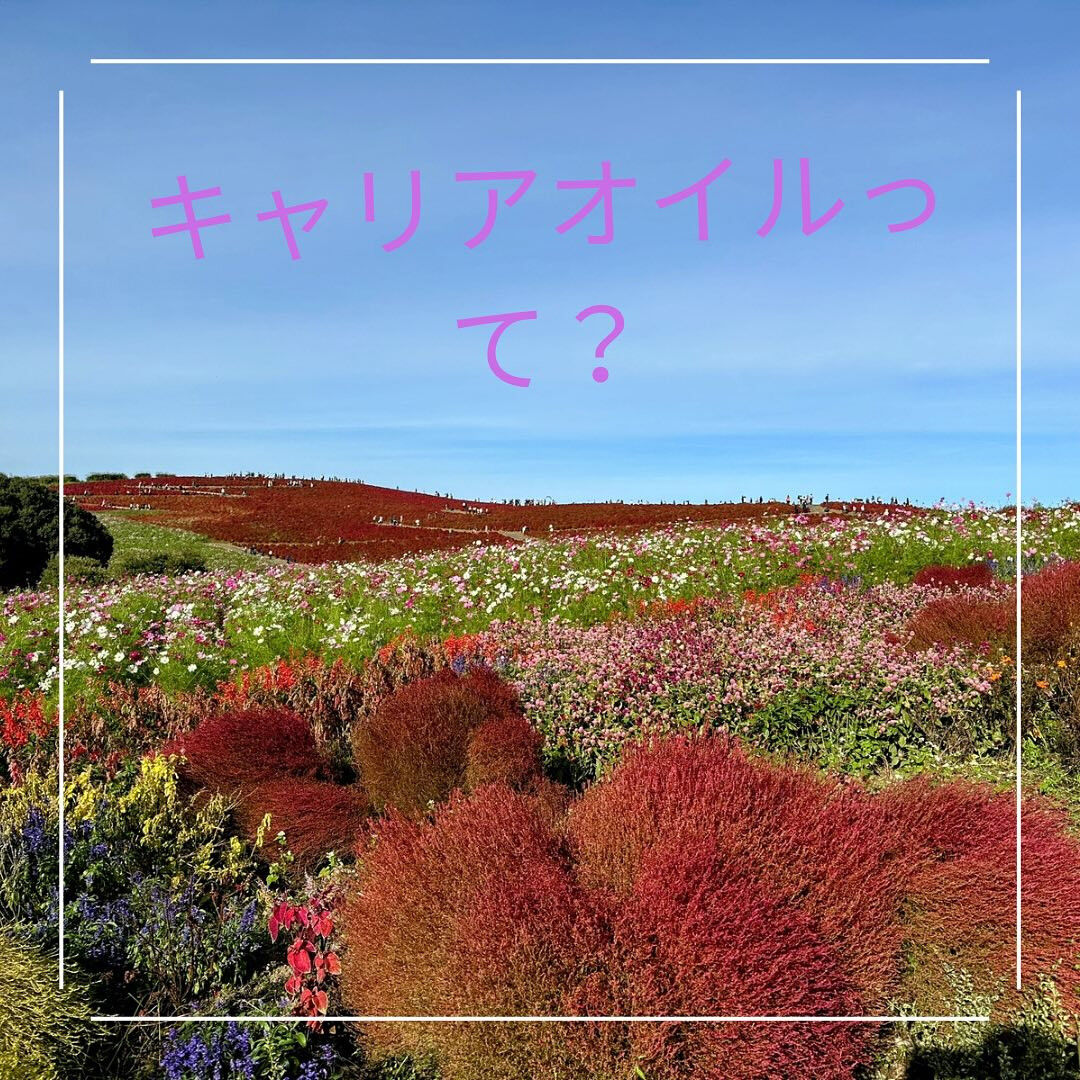 こんばんは🌟 Aroma Fonduです🍃 