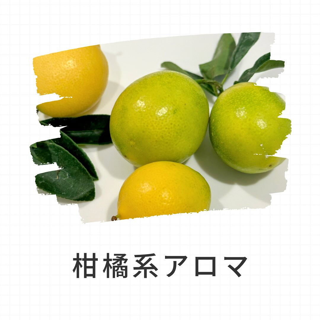 こんばんは✨ Aroma Fondu（アロマフォンデュ）のペ