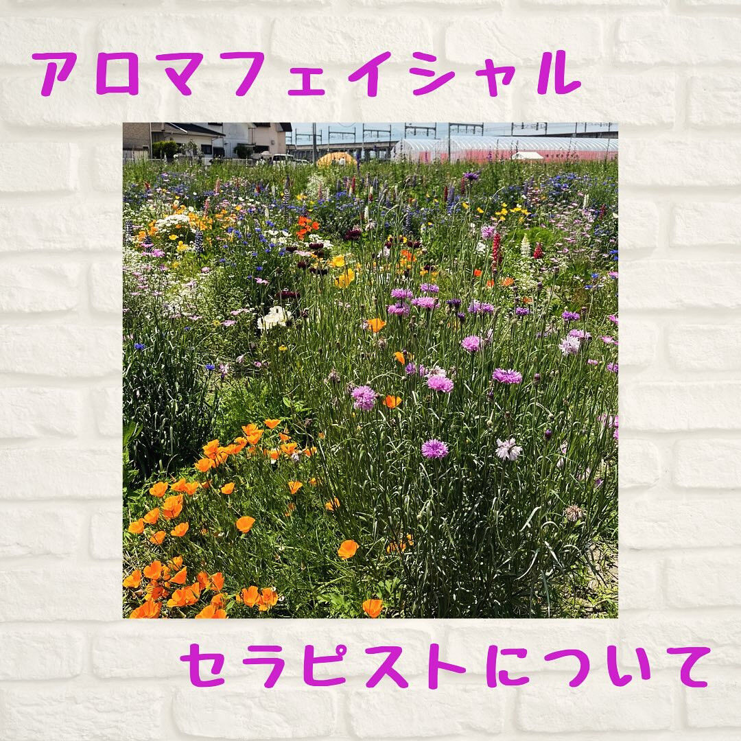 栃木県でアロマオイルマッサージスクールをお探しの皆様！