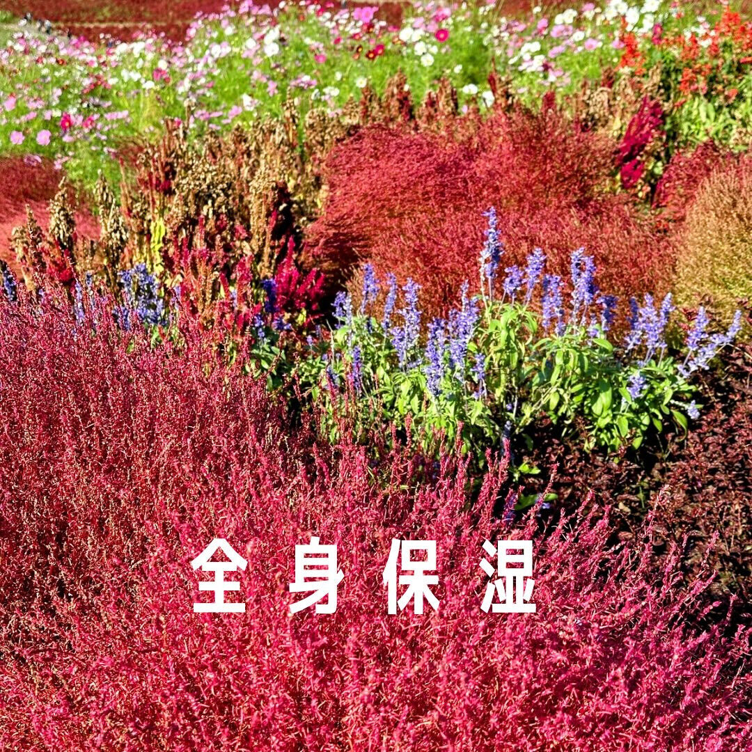 皆様こんばんは🌙✨ Aroma Fonduです