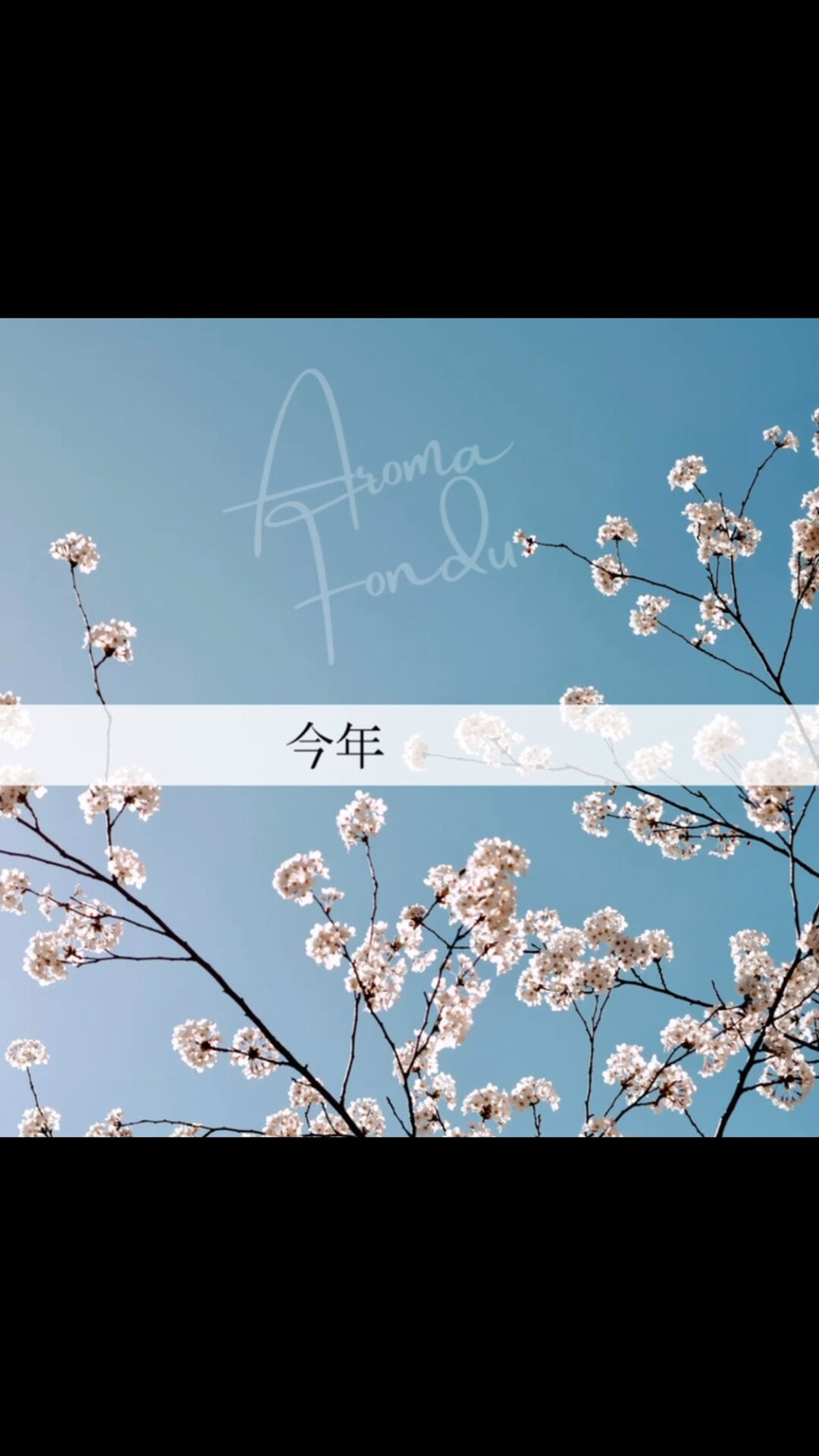 皆さん、こんにちは😊✨
