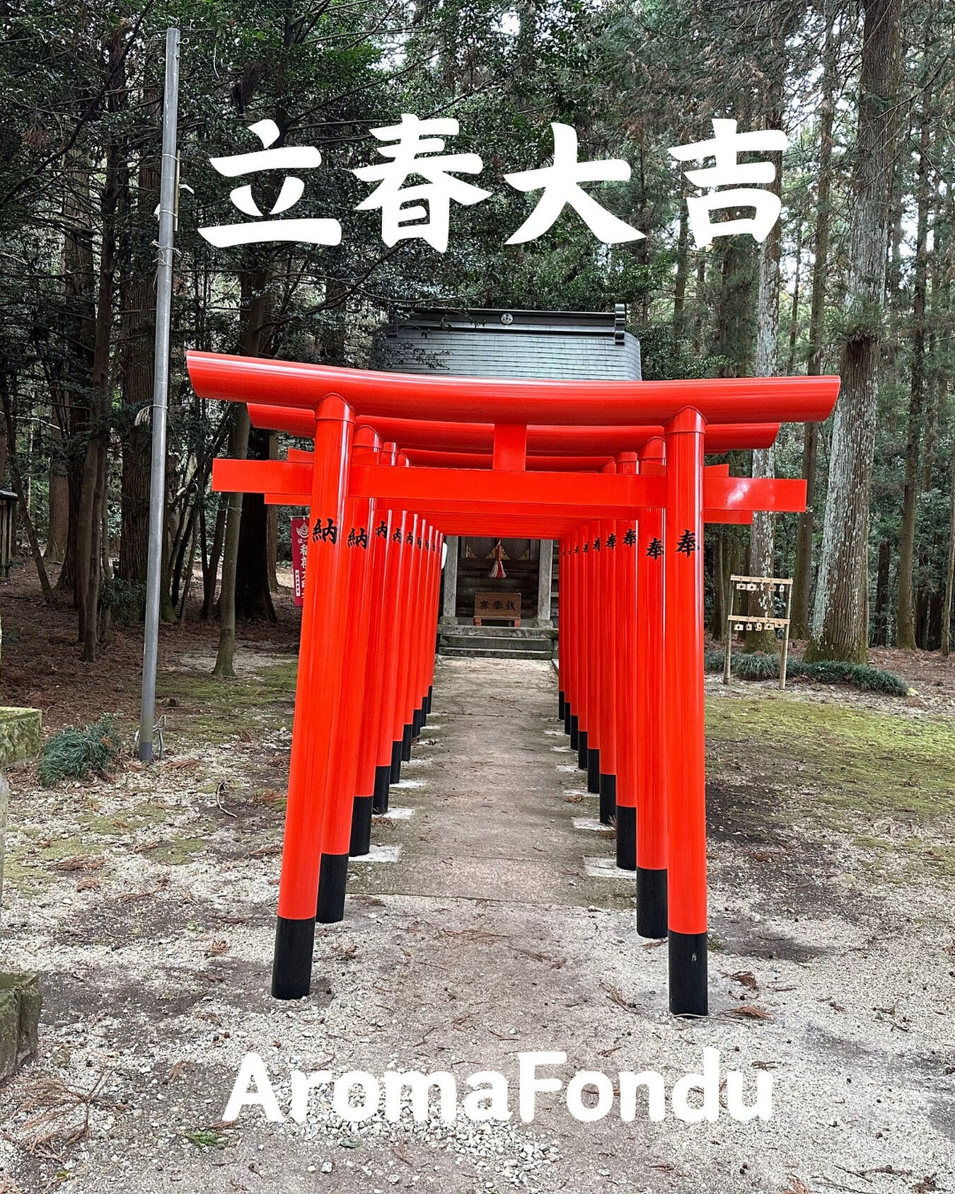 栃木県の皆さま、こんにちは😃