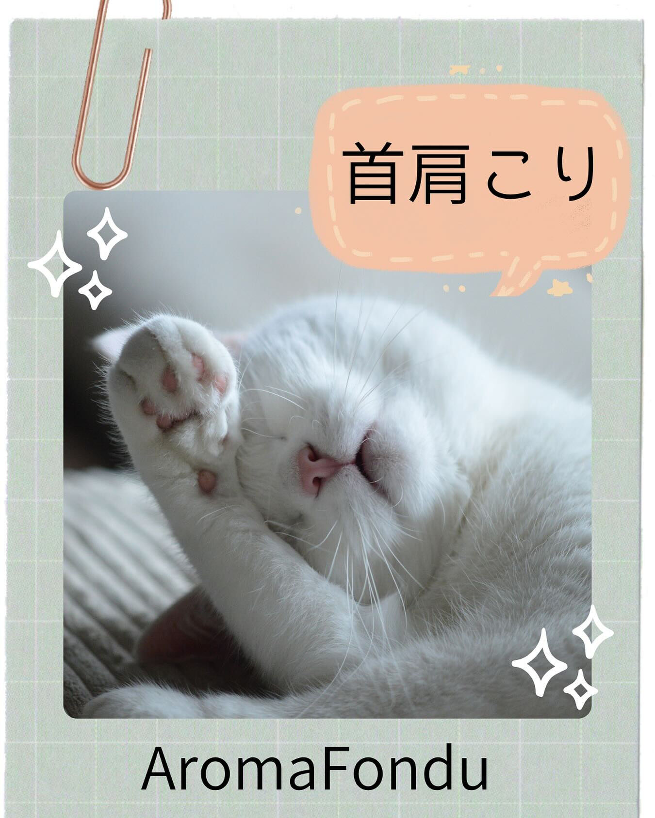 こんばんは🌛 AromaFonduです