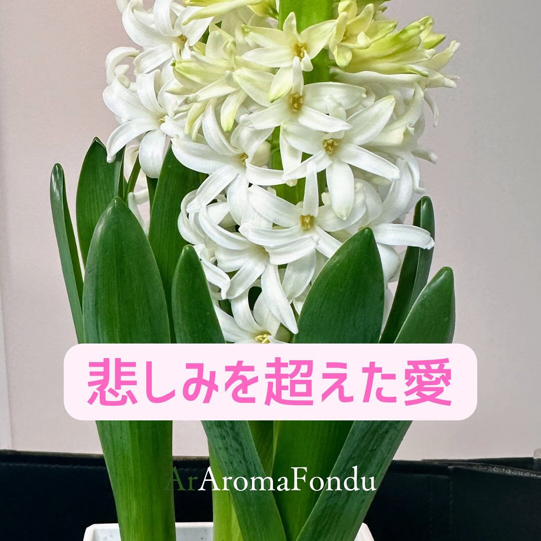 こんばんは🌟🍃栃木のアロマサロンAromaFonduです✨
