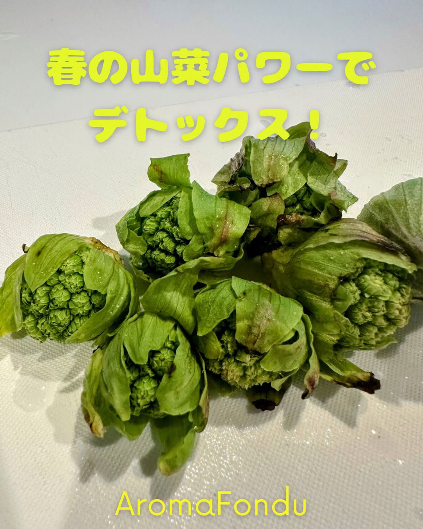 こんばんは🌟🍃 栃木県大田原市のAromaFonduです