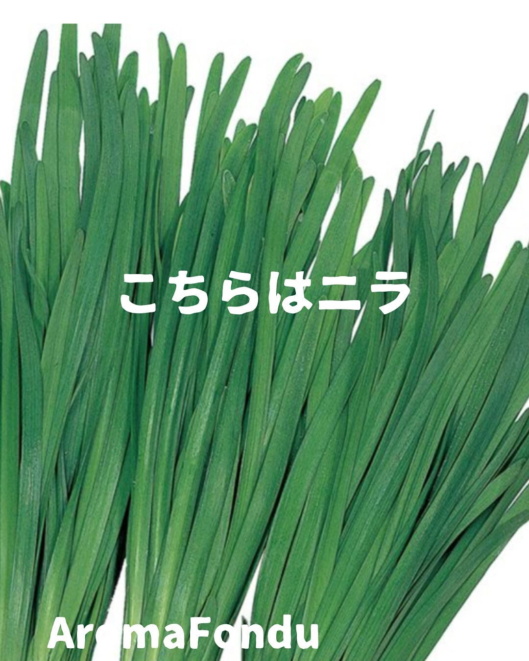 こんばんは🌙栃木県大田原市のAromaFondu（アロマフォ