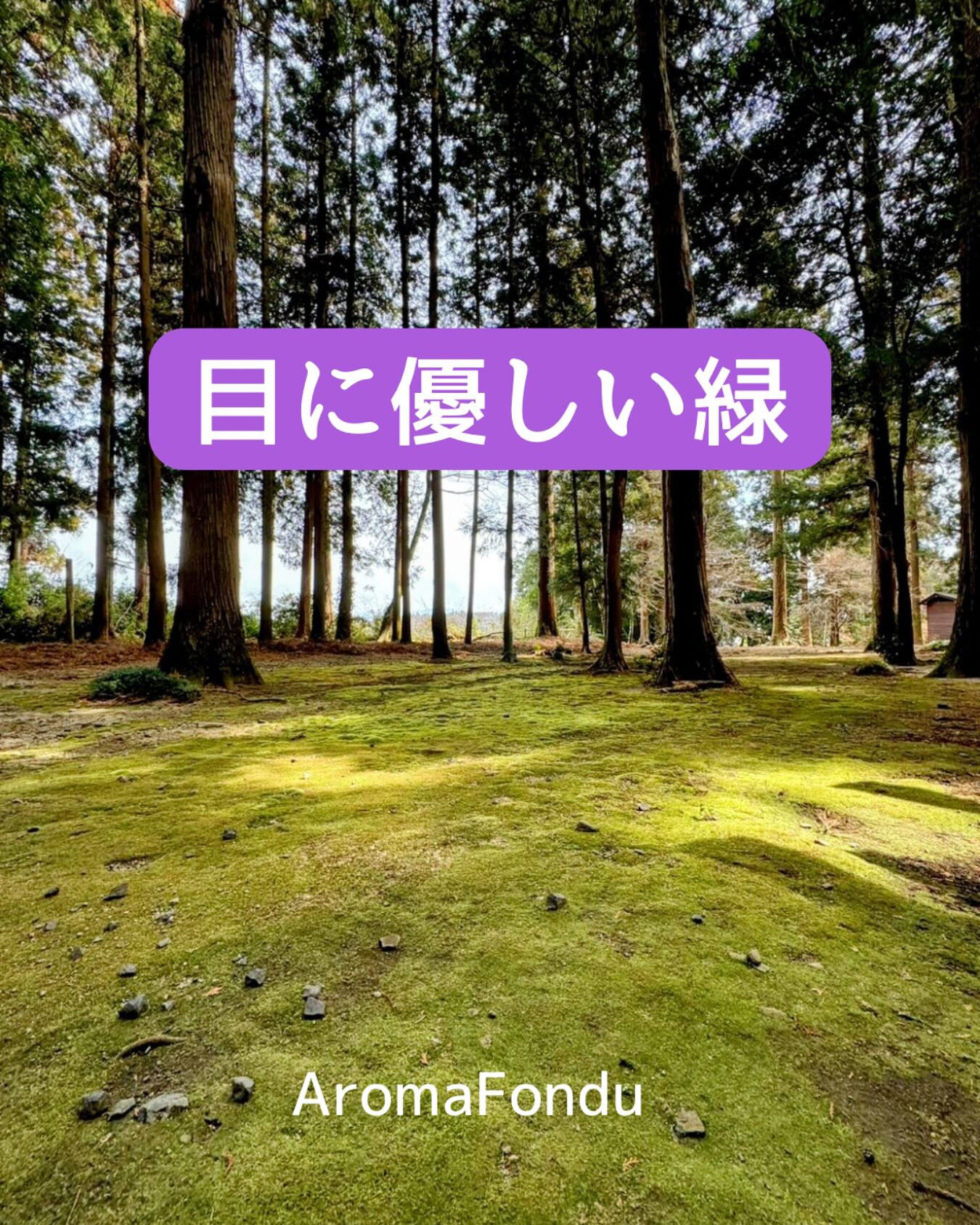 こんばんは⭐️栃木県大田原市のアロマセラピーサロン、Arom
